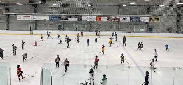 Hockey Clinic Skaneateles NY